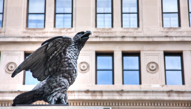 Eagle In The City